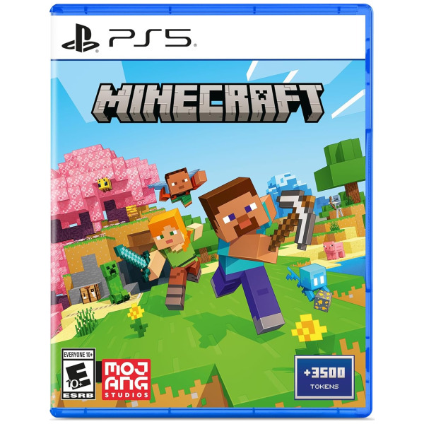 PLS5 MINECRAFT