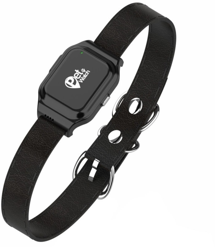 WATCH PET KIDI שחור